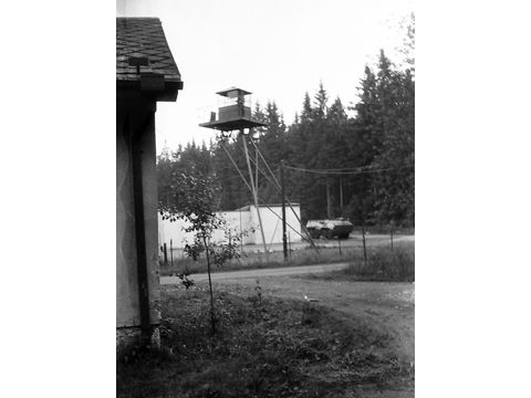 Foto 50